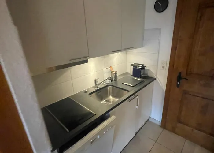 公寓 Centre 韦尔比耶